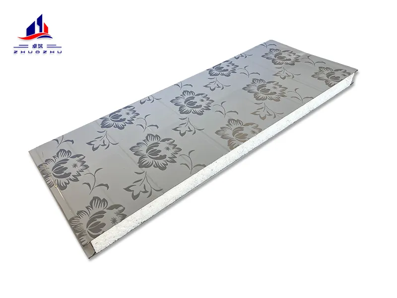 EPS cleanroom panels